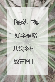 铺就“梅”好幸福路 共绘乡村致富图