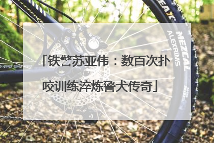 铁警苏亚伟：数百次扑咬训练淬炼警犬传奇