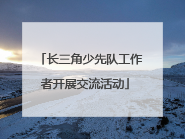 长三角少先队工作者开展交流活动