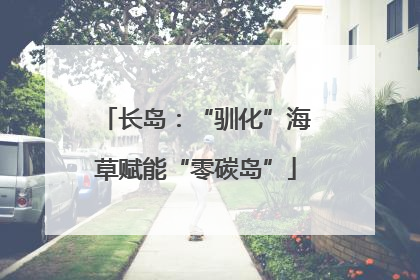 长岛：“驯化”海草赋能“零碳岛”