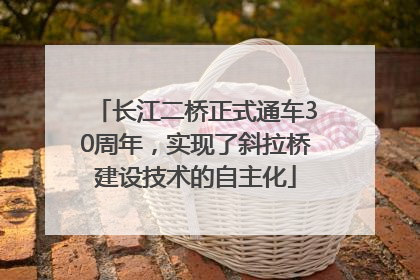 长江二桥正式通车30周年，实现了斜拉桥建设技术的自主化