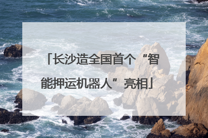 长沙造全国首个“智能押运机器人”亮相
