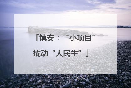 镇安：“小项目”撬动“大民生”