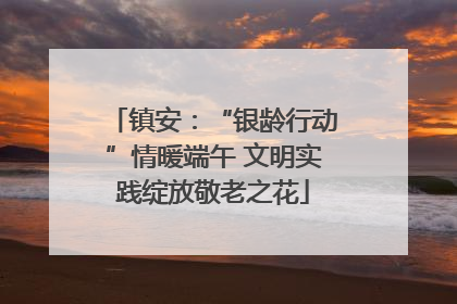 镇安：“银龄行动”情暖端午 文明实践绽放敬老之花