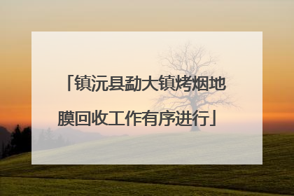 镇沅县勐大镇烤烟地膜回收工作有序进行