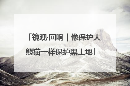 镜观·回响｜像保护大熊猫一样保护黑土地