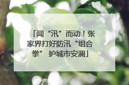 闻“汛”而动！张家界打好防汛“组合拳” 护城市安澜