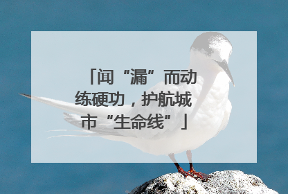 闻“漏”而动练硬功，护航城市“生命线”