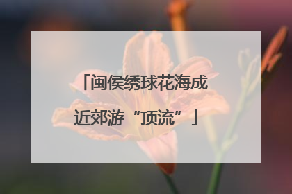 闽侯绣球花海成近郊游“顶流”