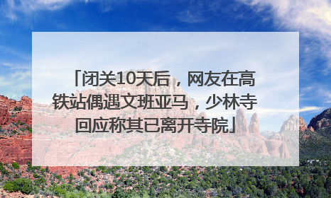 闭关10天后，网友在高铁站偶遇文班亚马，少林寺回应称其已离开寺院