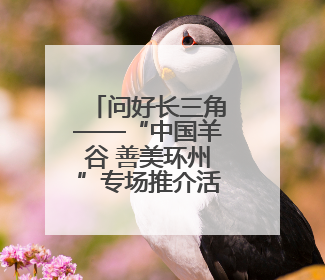 问好长三角——“中国羊谷 善美环州”专场推介活动举行