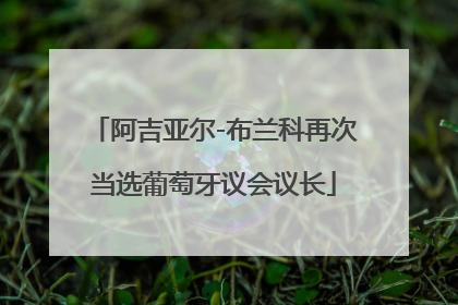 阿吉亚尔-布兰科再次当选葡萄牙议会议长