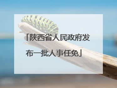 陕西省人民政府发布一批人事任免