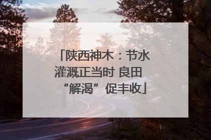 陕西神木：节水灌溉正当时 良田“解渴”促丰收