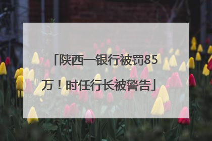 陕西一银行被罚85万！时任行长被警告