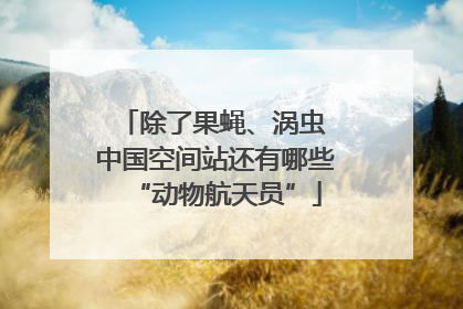 除了果蝇、涡虫 中国空间站还有哪些“动物航天员”