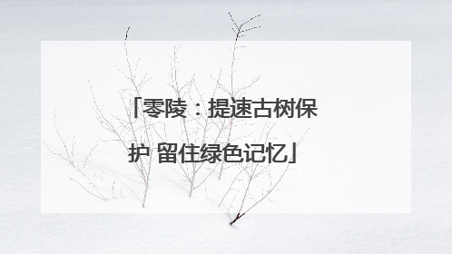 零陵：提速古树保护 留住绿色记忆