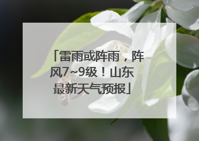 雷雨或阵雨，阵风7~9级！山东最新天气预报