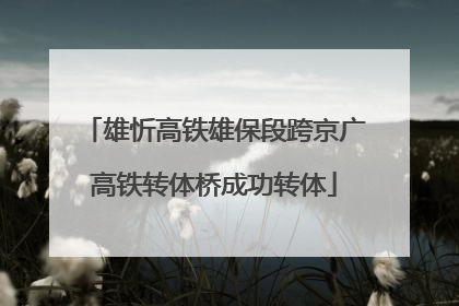 雄忻高铁雄保段跨京广高铁转体桥成功转体