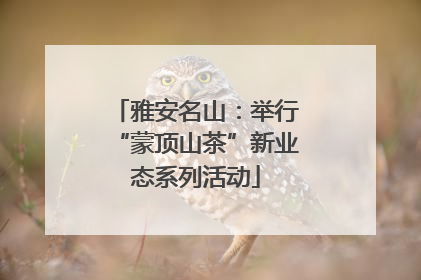 雅安名山：举行“蒙顶山茶”新业态系列活动