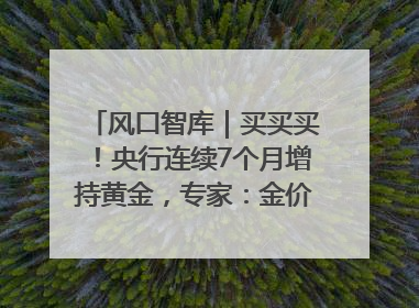 风口智库｜买买买！央行连续7个月增持黄金，专家：金价或仍易涨难跌