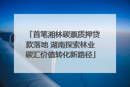 首笔湘林碳票质押贷款落地 湖南探索林业碳汇价值转化新路径