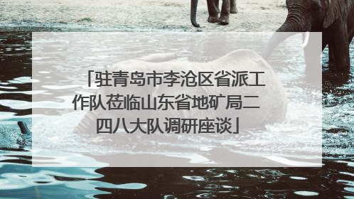 驻青岛市李沧区省派工作队莅临山东省地矿局二四八大队调研座谈