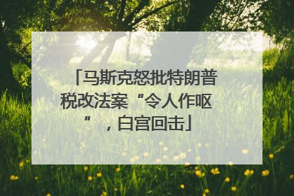 马斯克怒批特朗普税改法案“令人作呕”，白宫回击