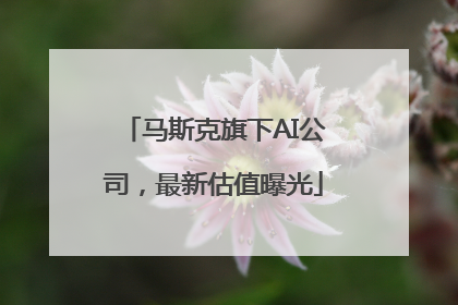 马斯克旗下AI公司，最新估值曝光