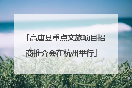 高唐县重点文旅项目招商推介会在杭州举行