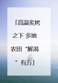 高温炙烤之下 多地农田“解渴”有方