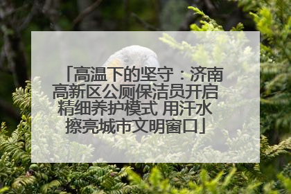 高温下的坚守：济南高新区公厕保洁员开启精细养护模式 用汗水擦亮城市文明窗口