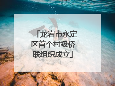 龙岩市永定区首个村级侨联组织成立