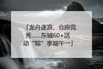 龙舟逐浪、仓廪竞秀……东城60+活动“粽”享端午→