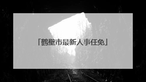 鹤壁市最新人事任免