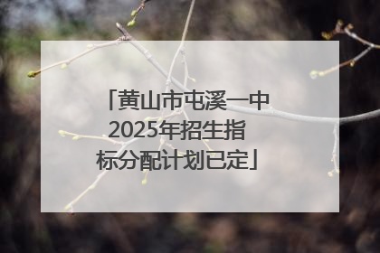 黄山市屯溪一中2025年招生指标分配计划已定