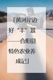 黄河岸边好“丰”景——合阳县特色农业养成记