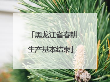 黑龙江省春耕生产基本结束