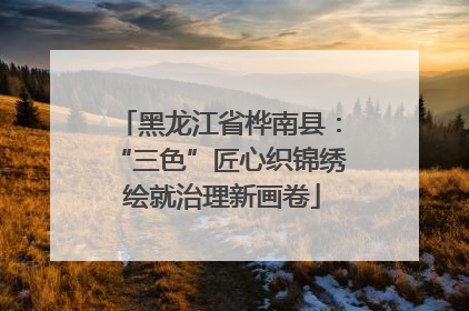 黑龙江省桦南县：“三色”匠心织锦绣 绘就治理新画卷