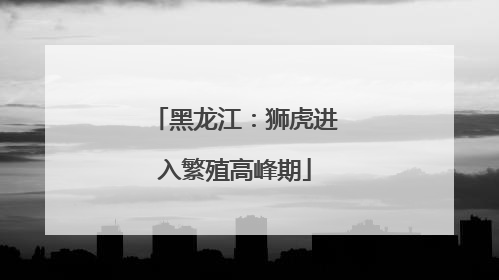 黑龙江：狮虎进入繁殖高峰期