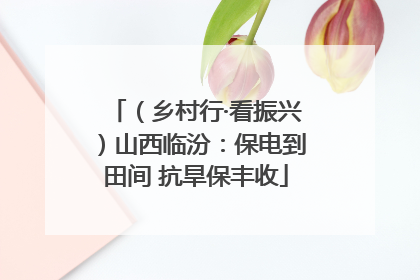 （乡村行·看振兴）山西临汾：保电到田间 抗旱保丰收