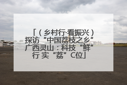 （乡村行·看振兴）探访“中国荔枝之乡”广西灵山：科技“鲜”行 实“荔”C位