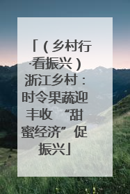 （乡村行·看振兴）浙江乡村：时令果蔬迎丰收 “甜蜜经济”促振兴
