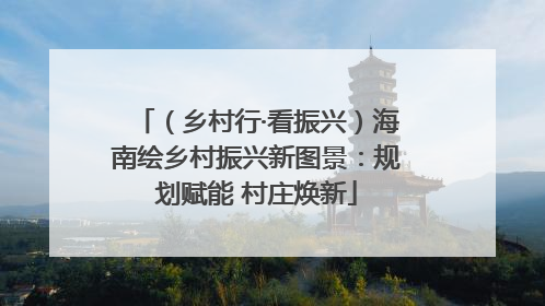 （乡村行·看振兴）海南绘乡村振兴新图景：规划赋能 村庄焕新