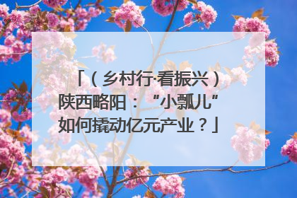 （乡村行·看振兴）陕西略阳：“小瓢儿”如何撬动亿元产业？