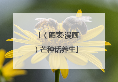 （图表·漫画）芒种话养生