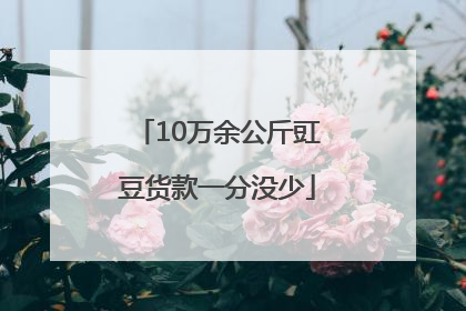 10万余公斤豇豆货款一分没少