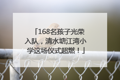 168名孩子光荣入队，清水塘江湾小学这场仪式超燃！