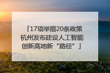 17项举措20条政策 杭州发布建设人工智能创新高地新“路径”