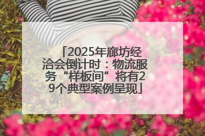 2025年廊坊经洽会倒计时：物流服务“样板间”将有29个典型案例呈现